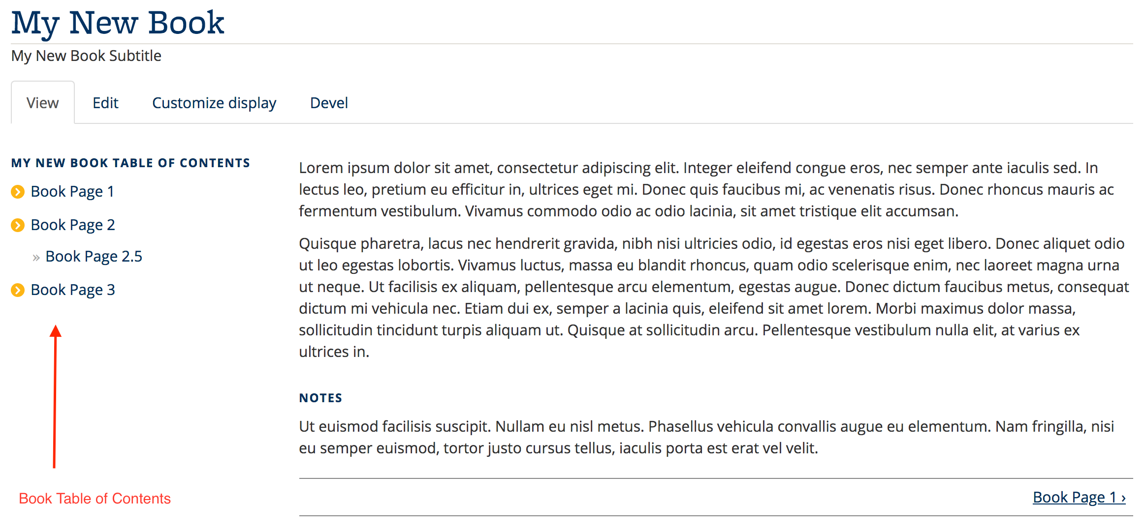 Screenshot of Book Table of Contents