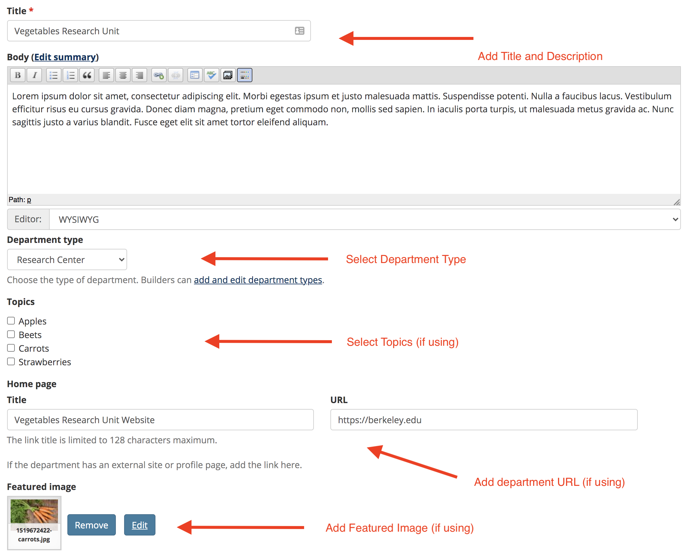 Screenshot of Department page editing screen, with various fields