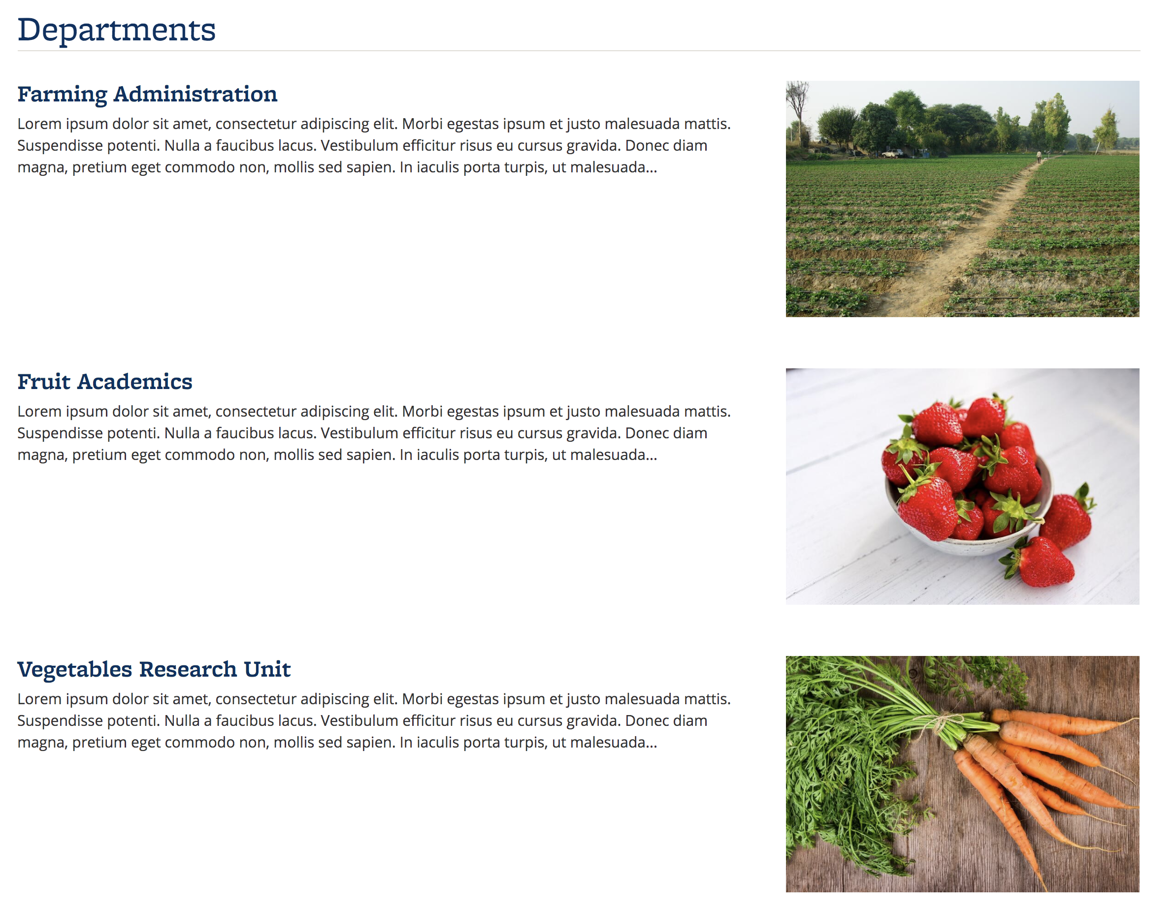 Screenshot of Departments content, with featured images