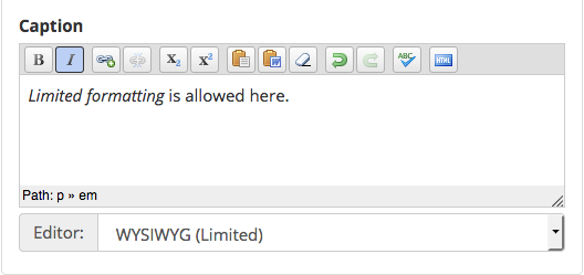 Screenshot showing the limited WYSIWYG toolbar in use on the Caption field of the Add Image widget.