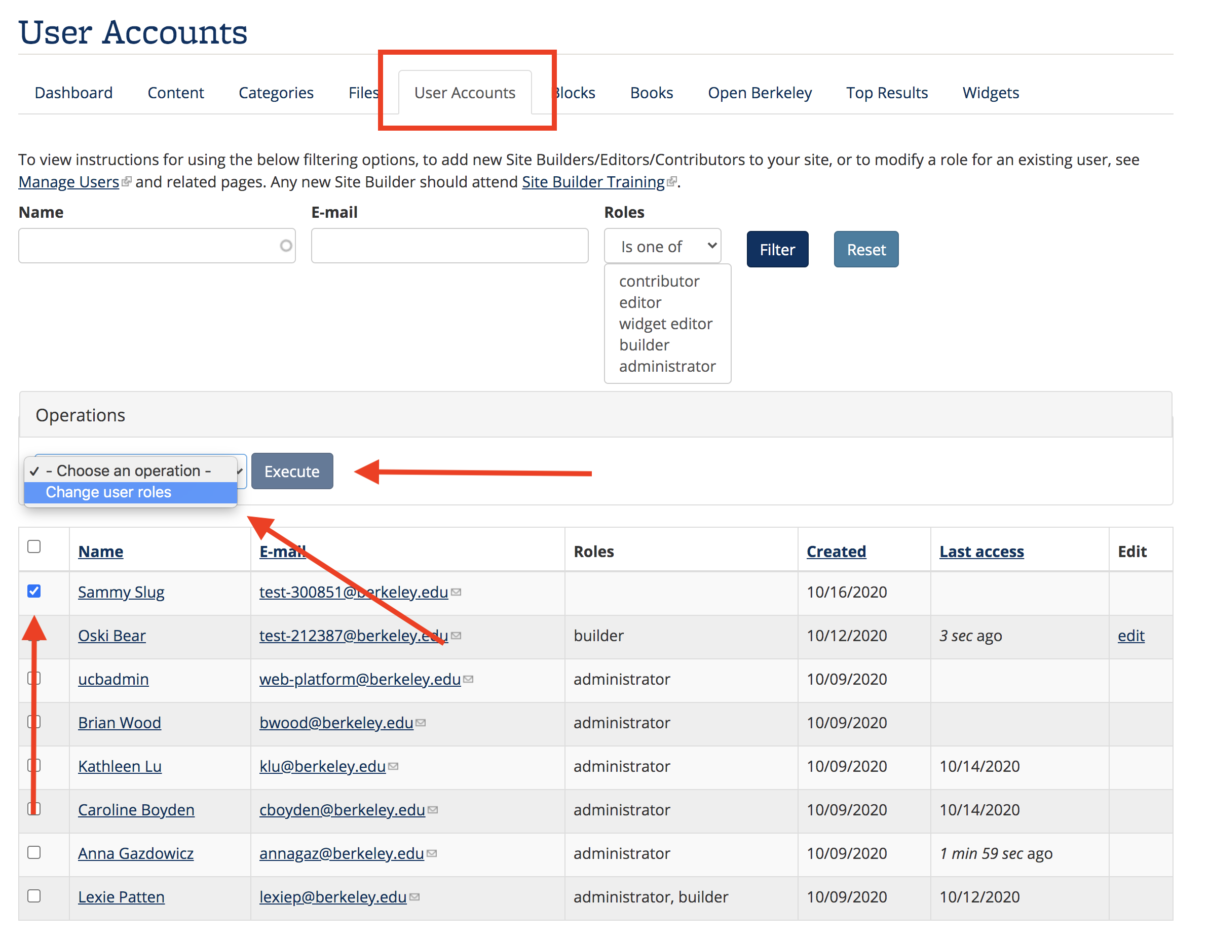 Screenshot of User Accounts, with new user selected