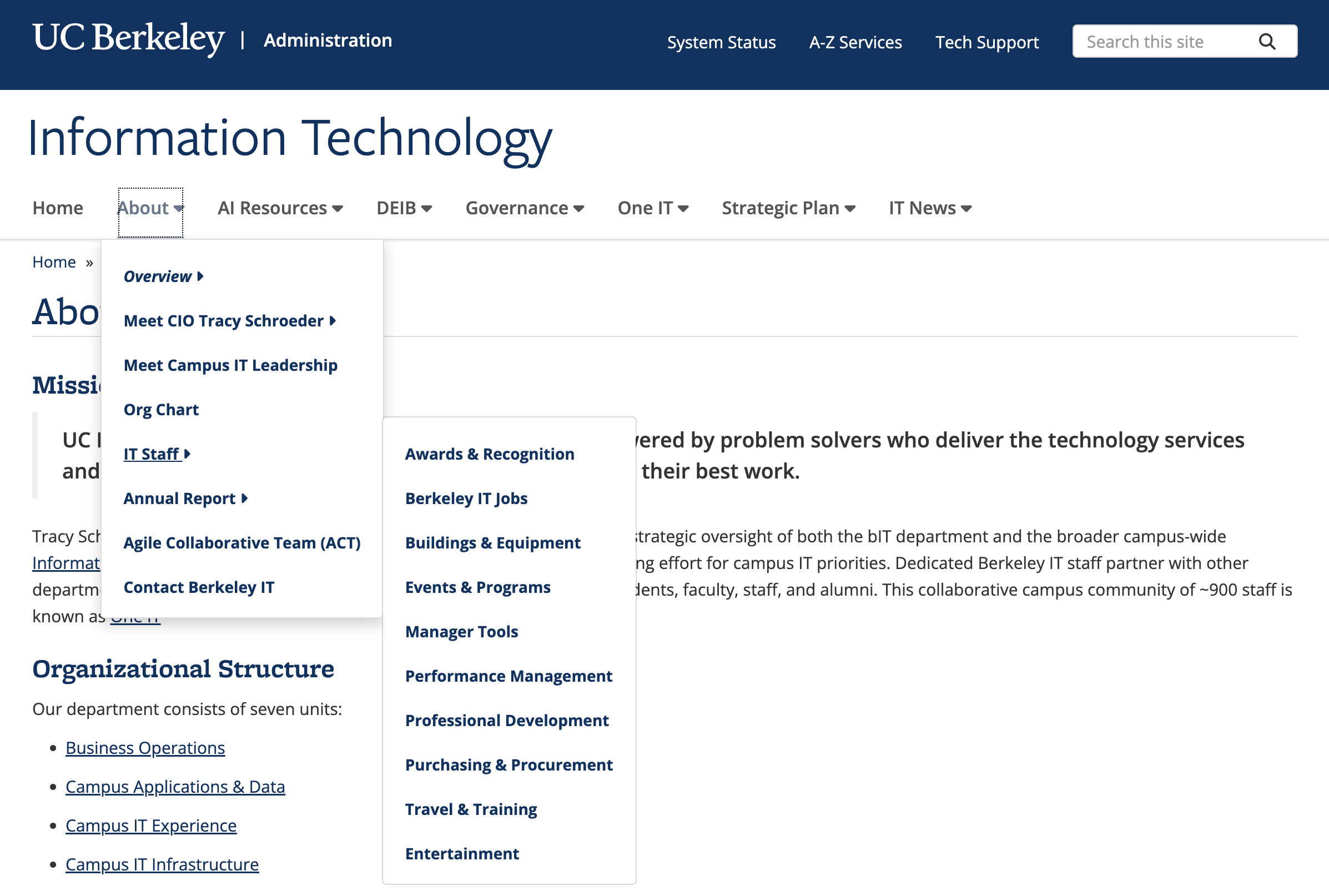 Screenshot of the main menu with a second level of sub-items expanded