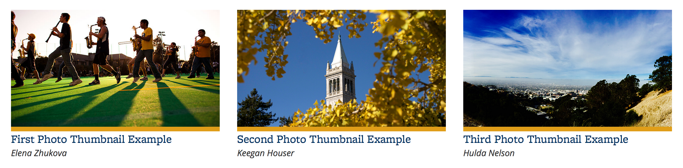 Sample of Photo Thumbnail component