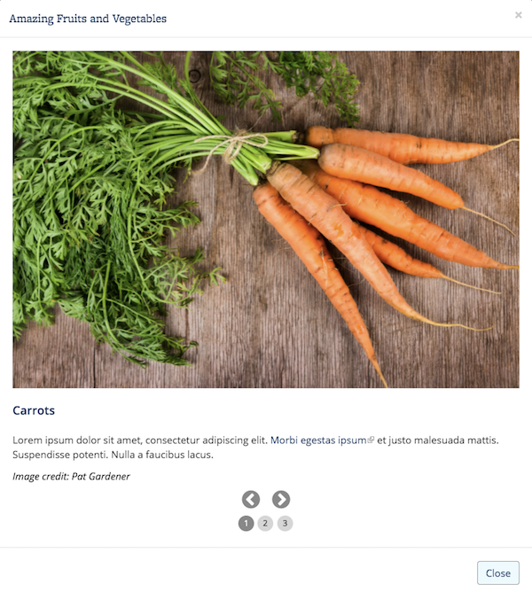 Screenshot of Photo Thumbnail with Zoom modal, featuring a photo of carrots, with lorem ipsum text in the description and a sample photo credit