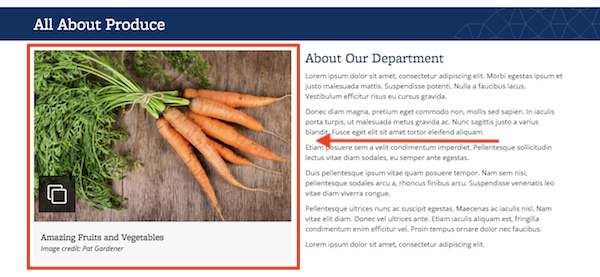 Screenshot of a landing page with several widgets, including a Photo Thumbnail with Gallery widget, featuring a photo of carrots