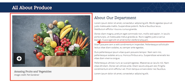 Screenshot of a landing page with several widgets, including a Photo Thumbnail with Zoom widget, featuring a photo of fruits and vegetables in a grocery bag