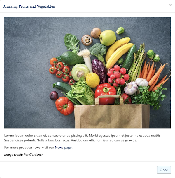 Screenshot of Photo Thumbnail with Zoom modal, featuring a photo of produce in a grocery bag, with lorem ipsum text in the description and a sample photo credit