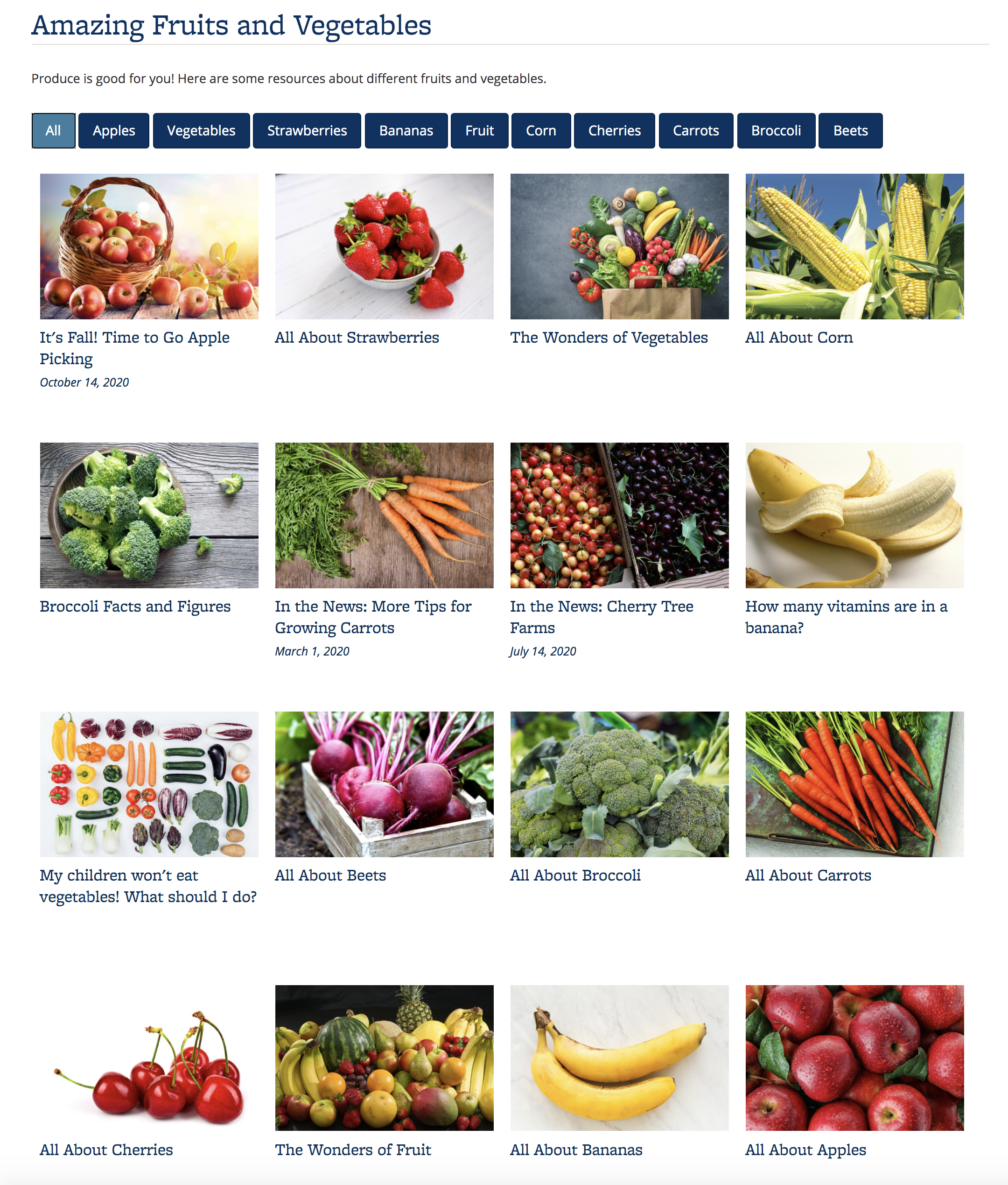 Screenshot of a Portfolio with content items about fruits and vegetables