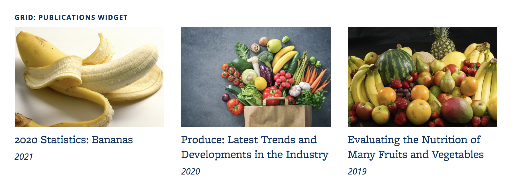 Screenshot of an example of a Grid Publications widget