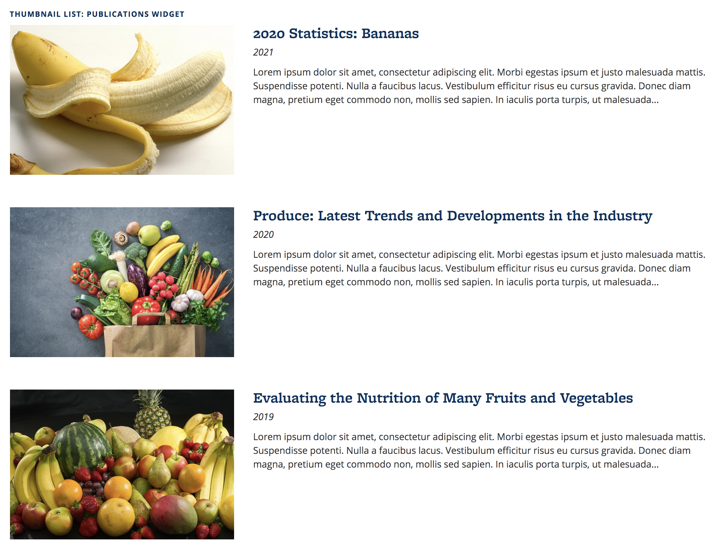 Screenshot of Thumbnail List Publications widget