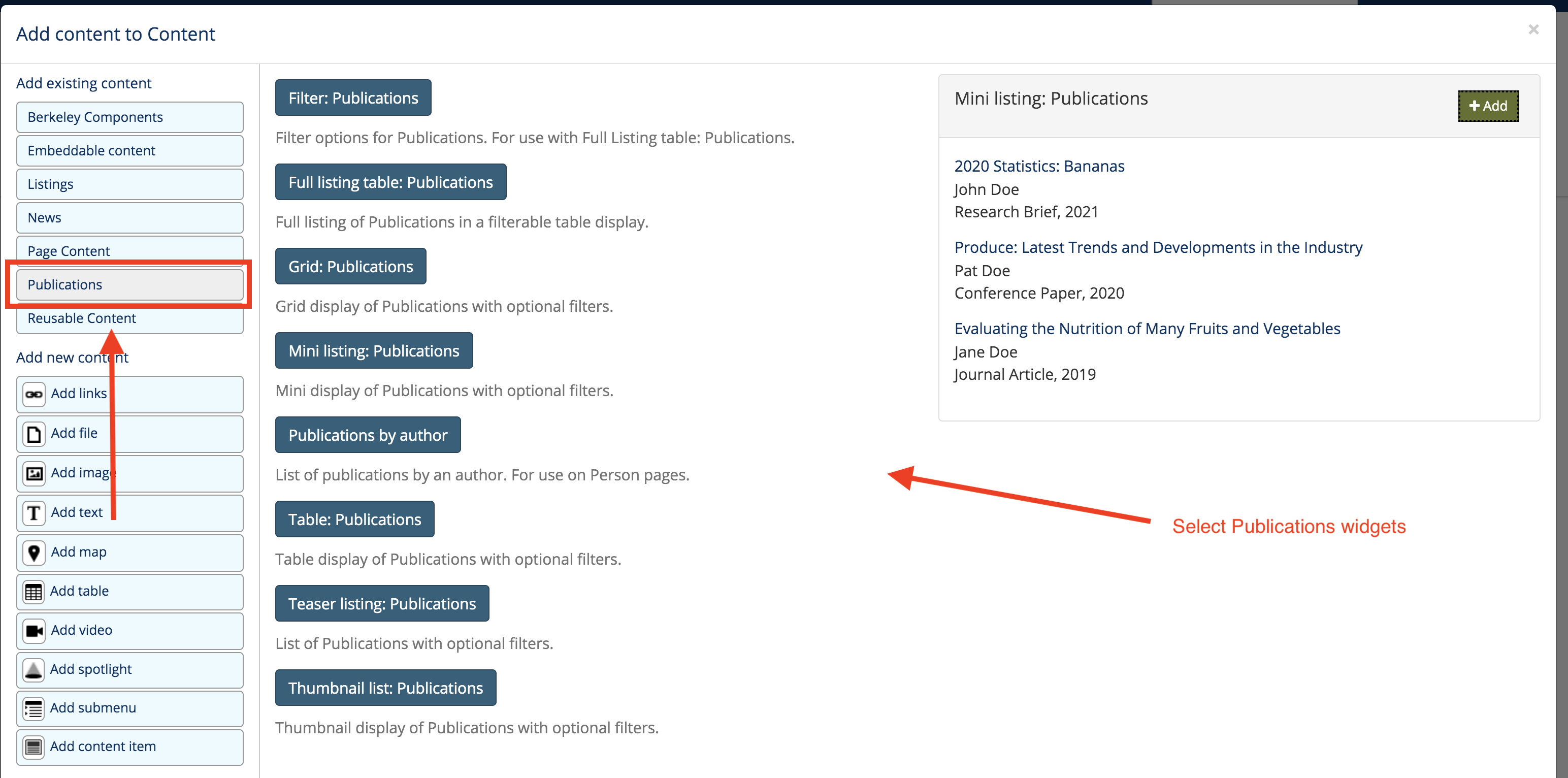 Screenshot of widget modal screen, where you can select Publications widgets