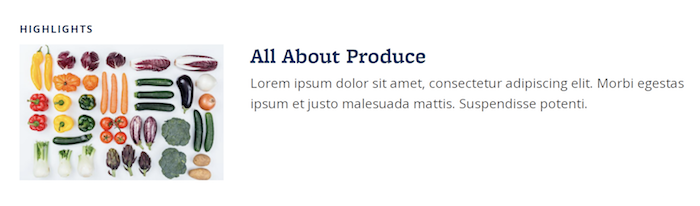 Screenshot of a Thumbnail List Listings widget, with a Highlights title, and a photo of lots of fruits and vegetables against a white background, with main text that says All About Produce and lorem ipsum text below