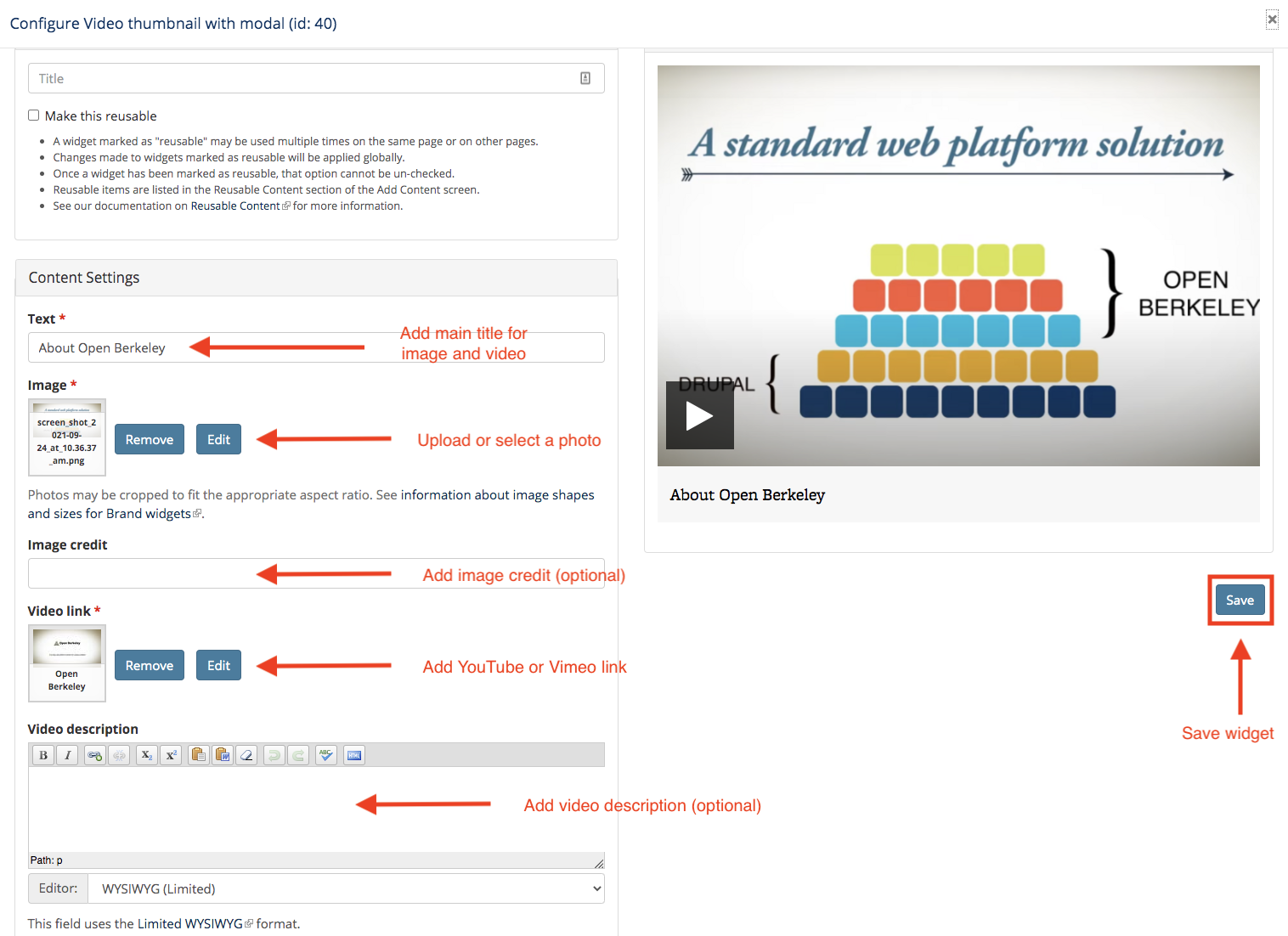 Screenshot of Video Thumbnail with Modal editing screen, with the available fields highlighted